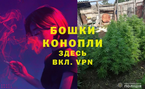 прущая мука Белокуриха