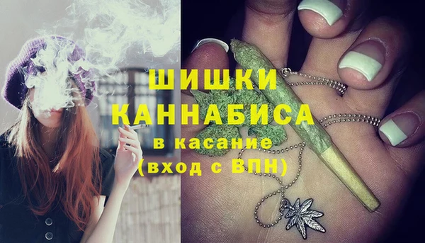 стаф Беломорск