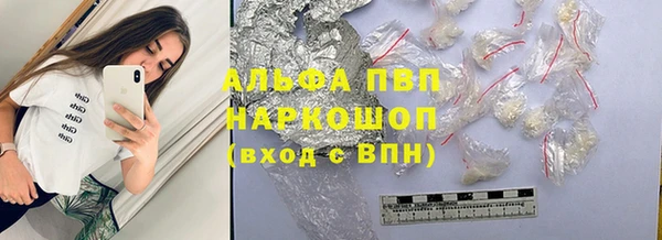 стаф Беломорск
